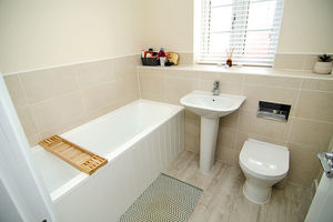 Photo 13- click for photo gallery